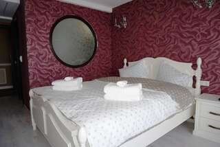 Отель Romantic Boutique Hotel Фокшани Двухместный номер Делюкс с 1 кроватью-2